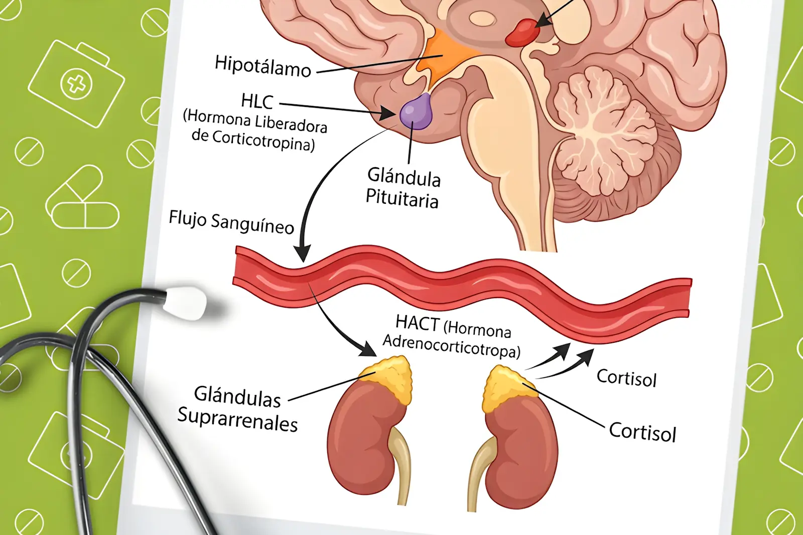 You are currently viewing Time Management: The Key to a Healthy Work-Life Balance
