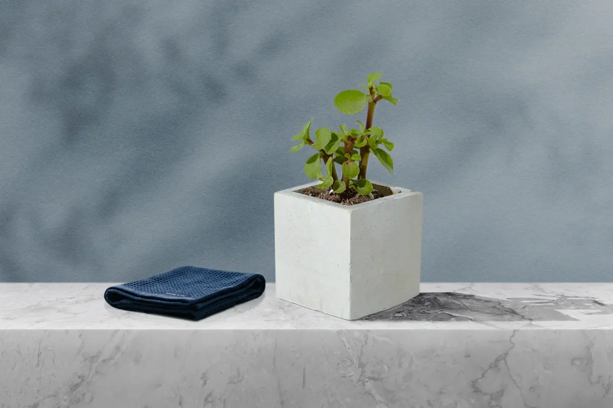 Why an Impeccable Environment is the Ultimate Professional Statement